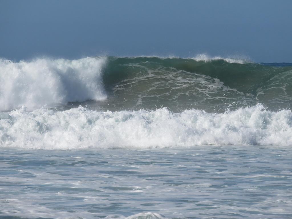 Windfall Plett Plettenberg Bay Exterior foto
